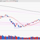 대동전자 이미지