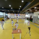 용인대골드태권도장 이미지