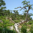 성철 농장 이미지