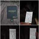 여성크로커다일 Daum카페