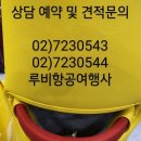 루비항공여행사 이미지