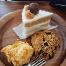 해빗 (hav-it) 이미지