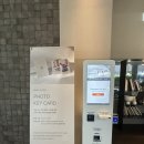 아우디서초서비스익스프레스 | [서울] 신라스테이 서초 스탠다드 더블 투숙부터 조식 뷔페까지 내돈내산 솔직후기