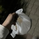 CU 춘천후평동아점 | [춘천/후평동] 춘천 배달/포장 떡볶이집 추천 '신떡순 신천할매 떡볶이' 포장 후기