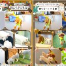 멜리애견유치원 이미지