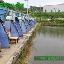 월곡낚시터 이미지