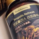 자연에너지 | 자연이 준 건강 에너지, 프로폴리스 리프레쉬 섭취 후기 프로폴리스 효능및 영양제 추천
