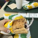 025.동보초교입구_1 | #025 [대학로방탈출] 셜록홈즈 성신여대점 : 호텔 사라진 다이아몬드 | 아 내 다이아몬드 어디갔어