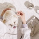 안성동물의료센터 이미지