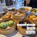 호로록얌얌 | [수원 행궁동] 행궁동 맛집 기념일 2인세트 얌얌SET 솔직후기 딤섬 "얌얌차"