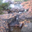 뉴힐튼파크 이미지