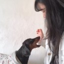 데려오개 이미지