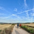 (주)비아나 이미지