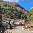 민둥산햇살좋은펜션 | [정선] 민둥산 은빛억새축제 후기🌾 : 주차장 : 최단거리 코스 : 애견 동반 여부