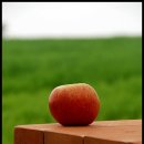 새벽농장 이미지