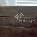 조르바롯지 민박 이미지