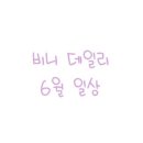 데일리6
