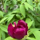 늘,그곳 이미지