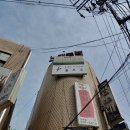 김영옥 해피 댄스 (왕초보) | 노원역폴댄스, 처음해본 연예인운동 솔직후기(feat. 폴포유, 수강료)