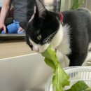 송민유통 | 13번째 일주일