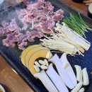 국제오리 이미지