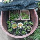 용토목장 이미지