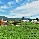 거제시 농기계임대사업장 이미지