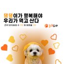 놀러오개 송파점 이미지