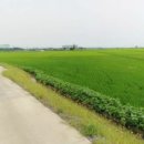 베스트원부동산중개법인주식회사 이미지