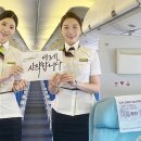 팀딜라이트 이미지