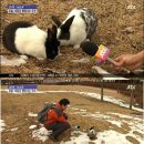 디자인류