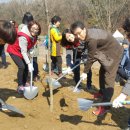 불암산더불어숲 이미지