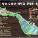 잔디마당 자동차 야영장 이미지