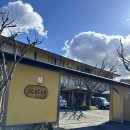 해든약국 | 후쿠오카 여행 (2 )