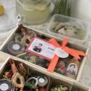 오키키친 이미지