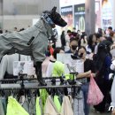 (주) 트렌드펫 이미지