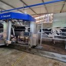 대신축사 이미지