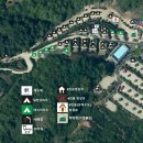 내안의숲 이미지