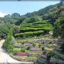 외도보타니아 이미지