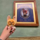 명서공원 | 상해는 차원이 달라... | 상하이 여행 3️⃣일차 | 디즈니랜드 | 주토피아 트론 캐리비안의 해적 퍼레이드...