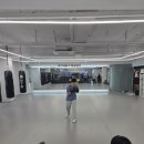 국가대표 복싱센터 세종점 이미지