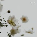 인보마을 | 용인요양원 인보마을 따뜻한 돌봄의 공간