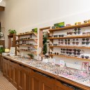 안경의 모든것 이미지