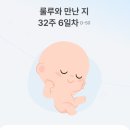 여신다온 | 임신일기｜32주~35주｜산후마사지 예약, 동탄 나들이, 야구 개막, 벚꽃 구경, D-50, 다응집들이