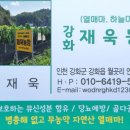 강화농장 이미지