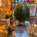 차진열농장 이미지