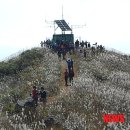 국립오서산자연휴양림 이미지