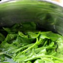 김밥나들이 이미지