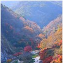 강천산군립공원 이미지