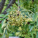 목도경로당 이미지